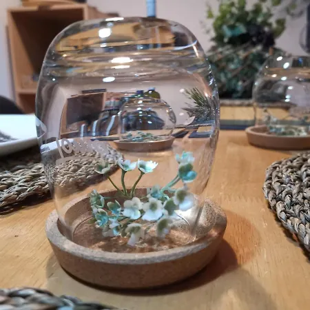 3 Izbovy Krasny David A7 V Tatranskej Strbe Апартаменты *